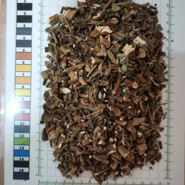 广藿香大量有货，产地一手货源，够含量，批发零售，量大从优