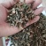 广藿香大量有货，产地一手货源，够含量，批发零售，量大从优