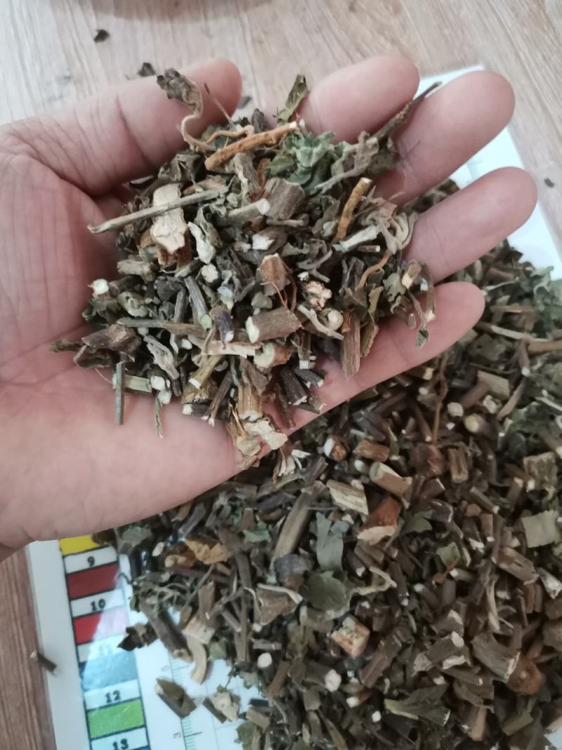 广藿香大量有货，产地一手货源，够含量，批发零售，量大从优