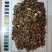 广藿香大量有货，产地一手货源，够含量，批发零售，量大从优