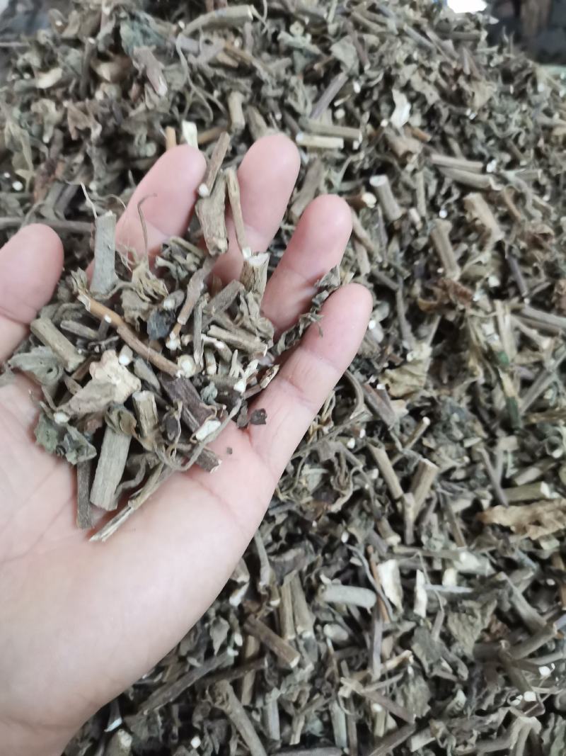广藿香大量有货，产地一手货源，够含量，批发零售，量大从优