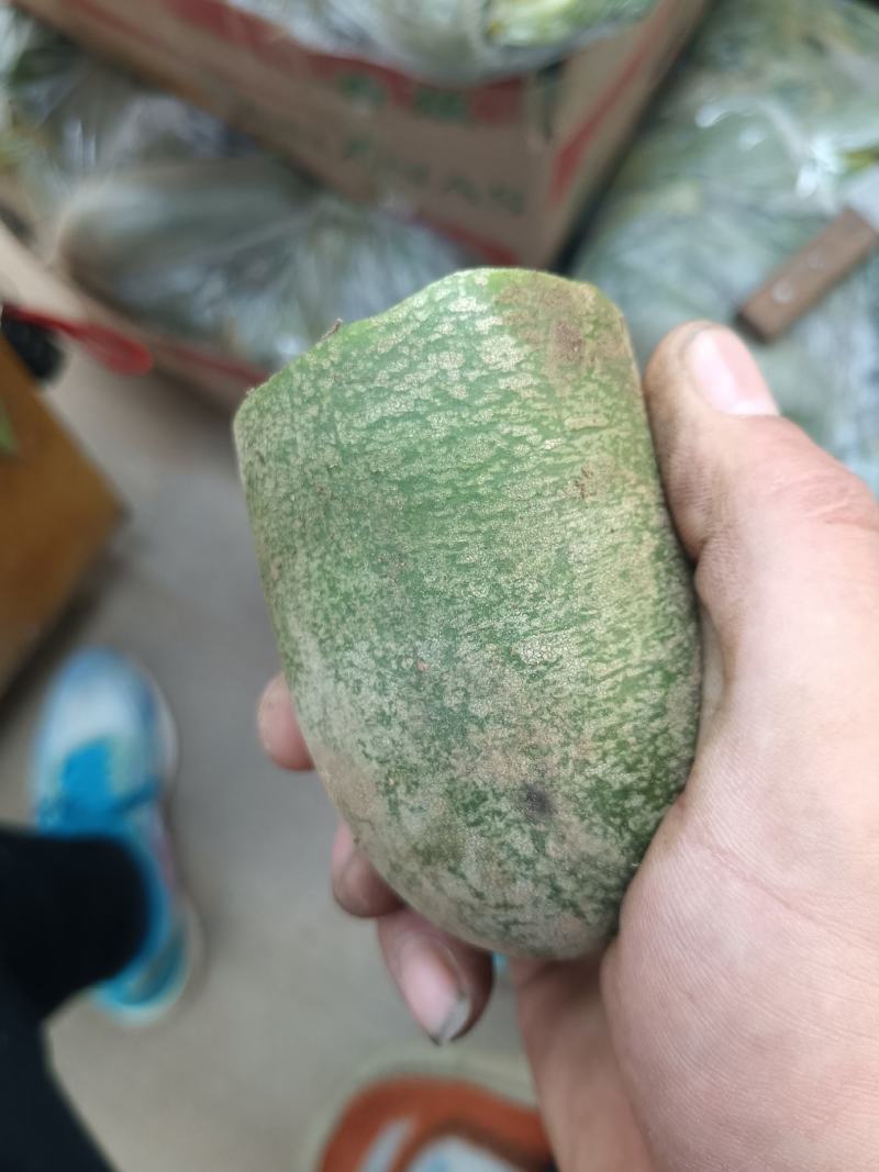 精品水果萝卜，大量供货，个头大，颜色翠绿。