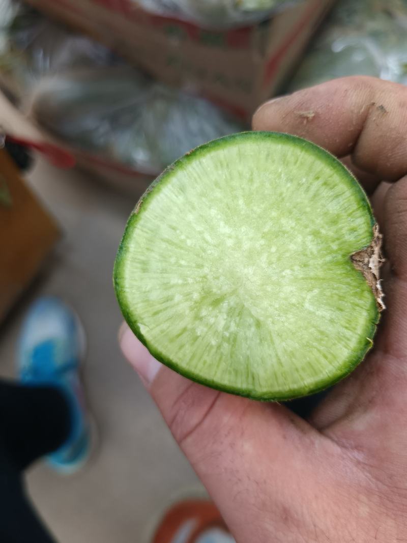 精品水果萝卜，大量供货，个头大，颜色翠绿。