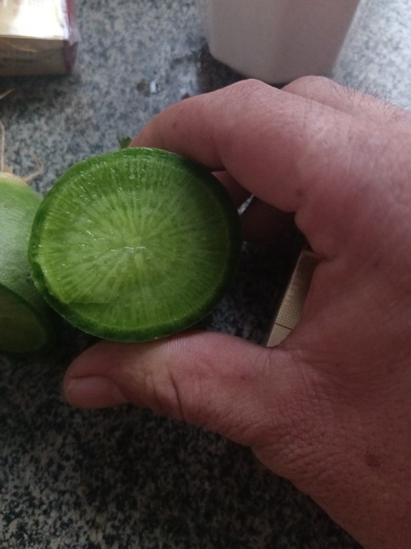 精品水果萝卜，大量供货，个头大，颜色翠绿。
