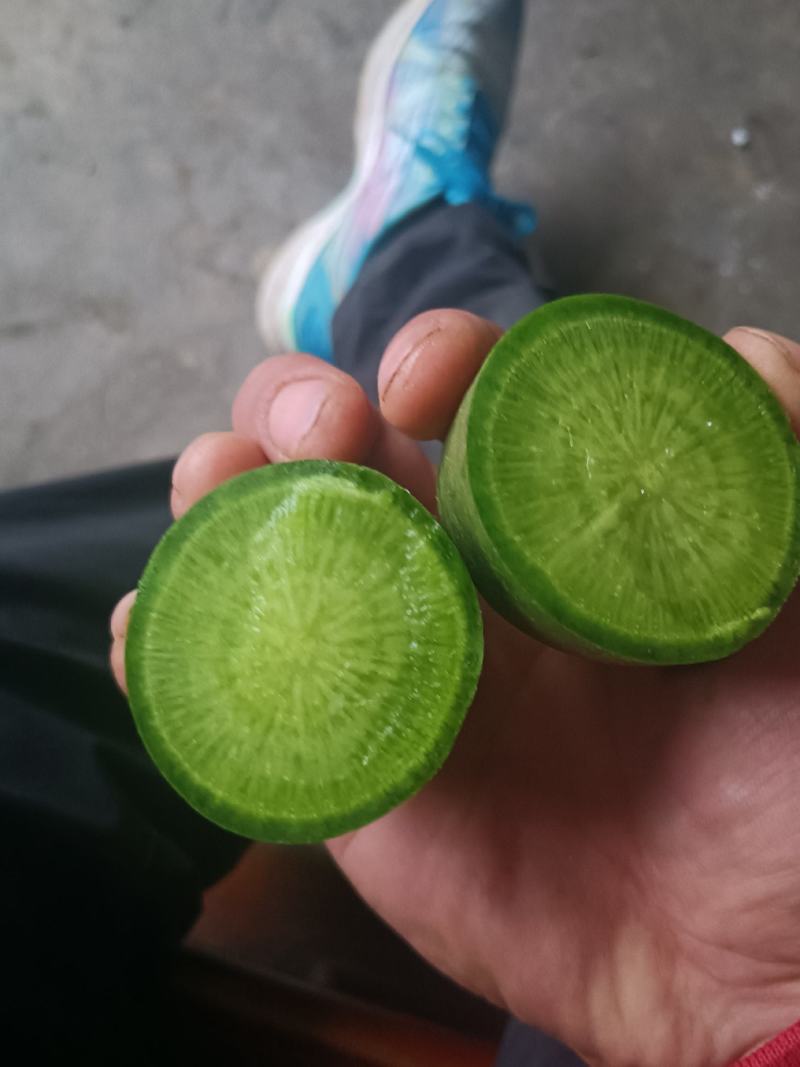 精品水果萝卜，大量供货，个头大，颜色翠绿。