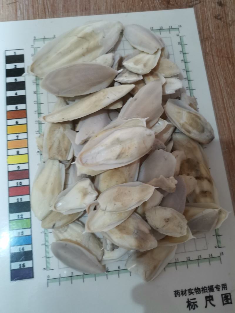 （海螵蛸、墨鱼骨、乌贼鱼）产地一手货源，长年大量有货