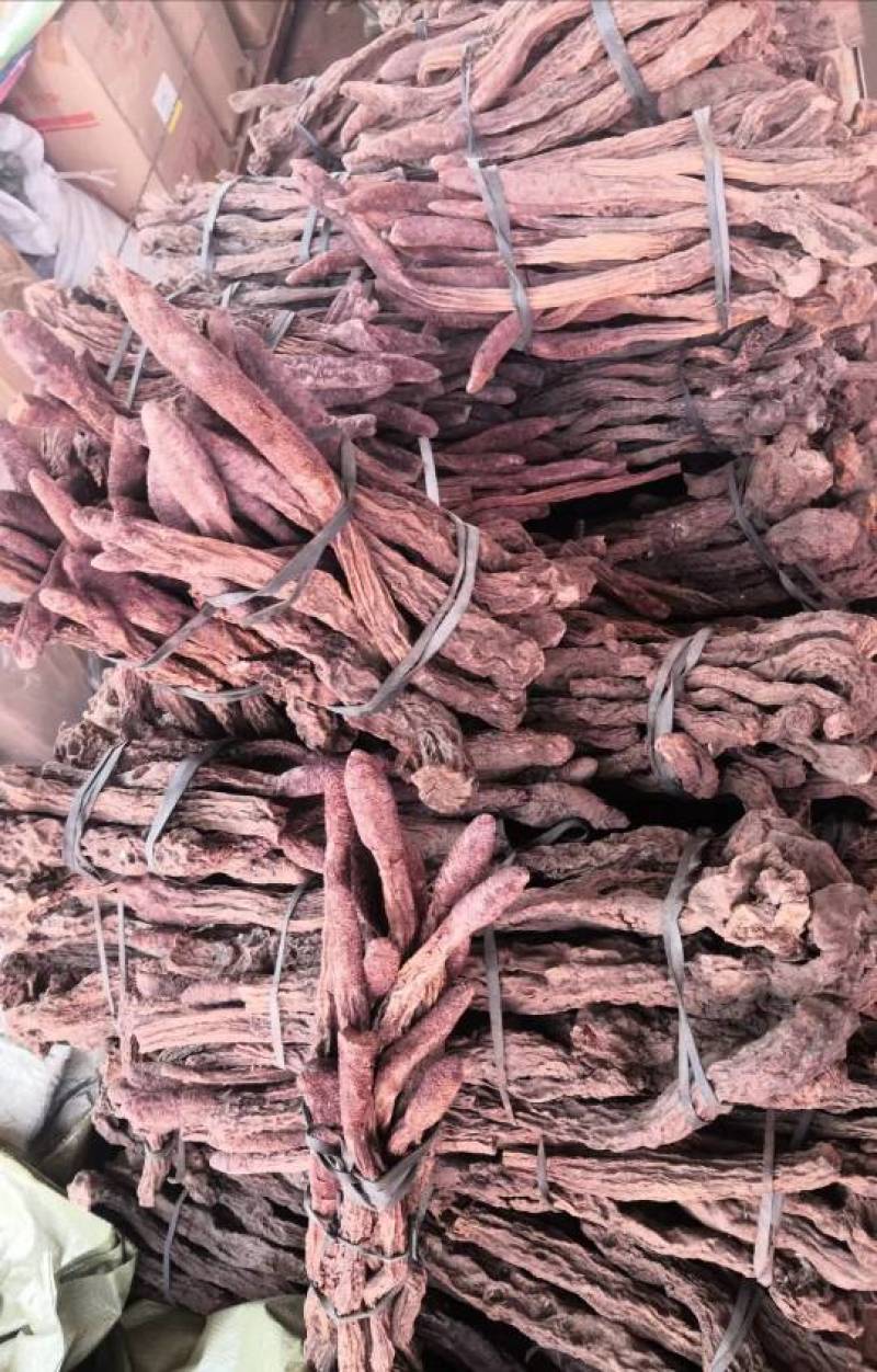 锁阳个子各种规格锁阳片新货无硫量大从优