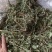 车前草