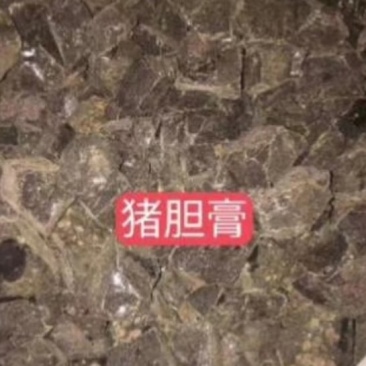 猪胆，猪胆膏