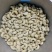 特级w240进口生腰果