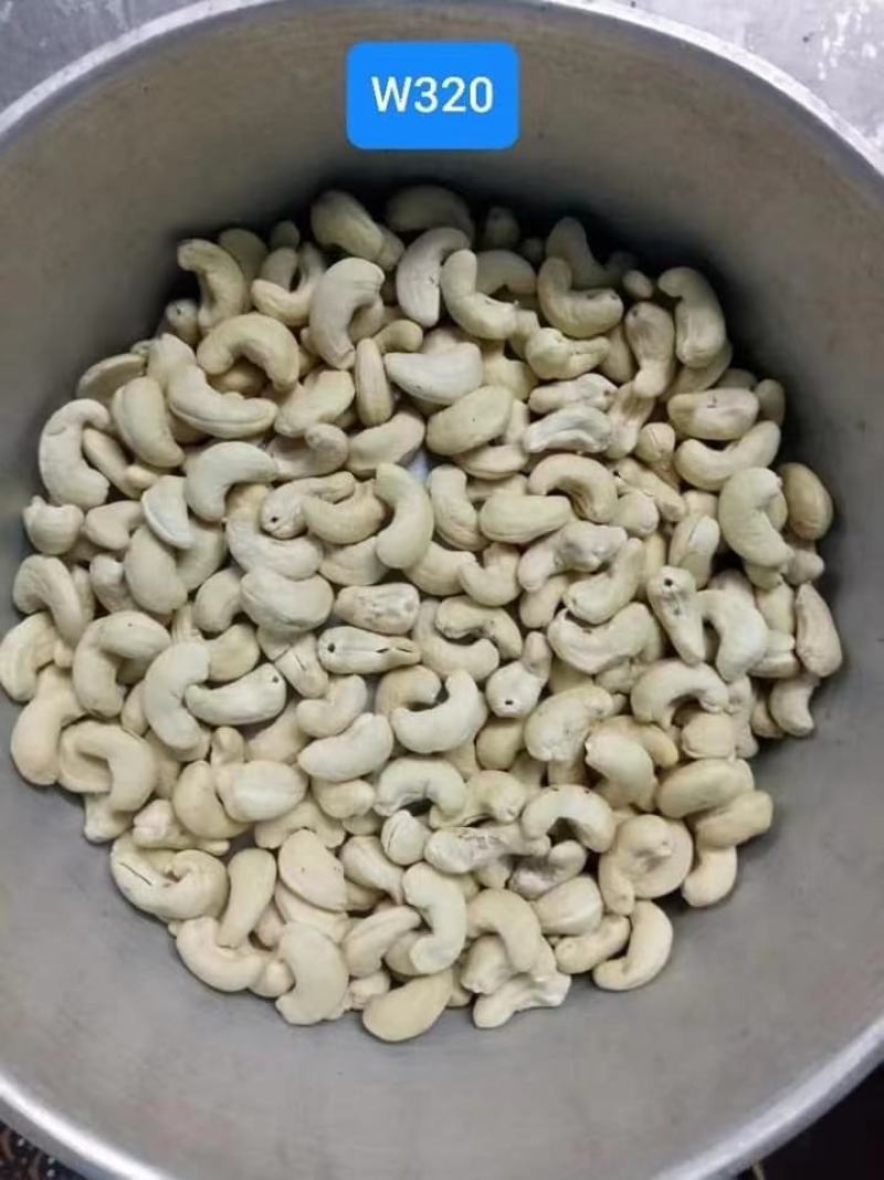 特级w240进口生腰果
