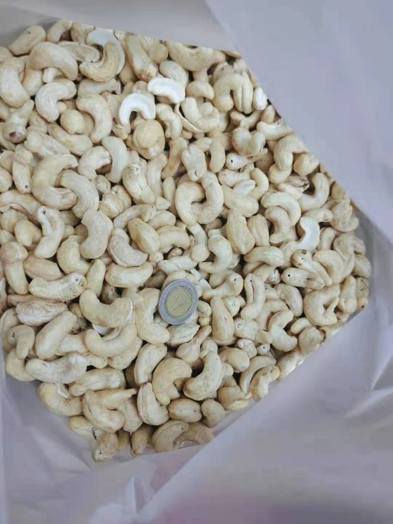 特级w240进口生腰果