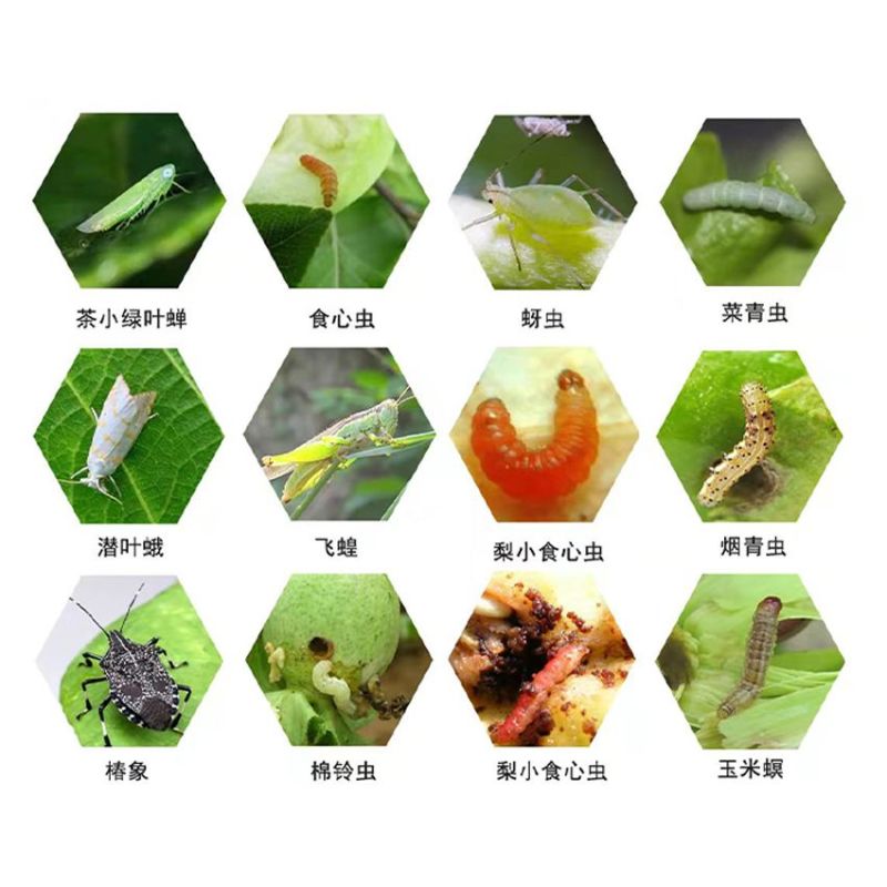 溴氰菊酯敌杀死地上害虫地下害虫蚜虫青虫地老虎