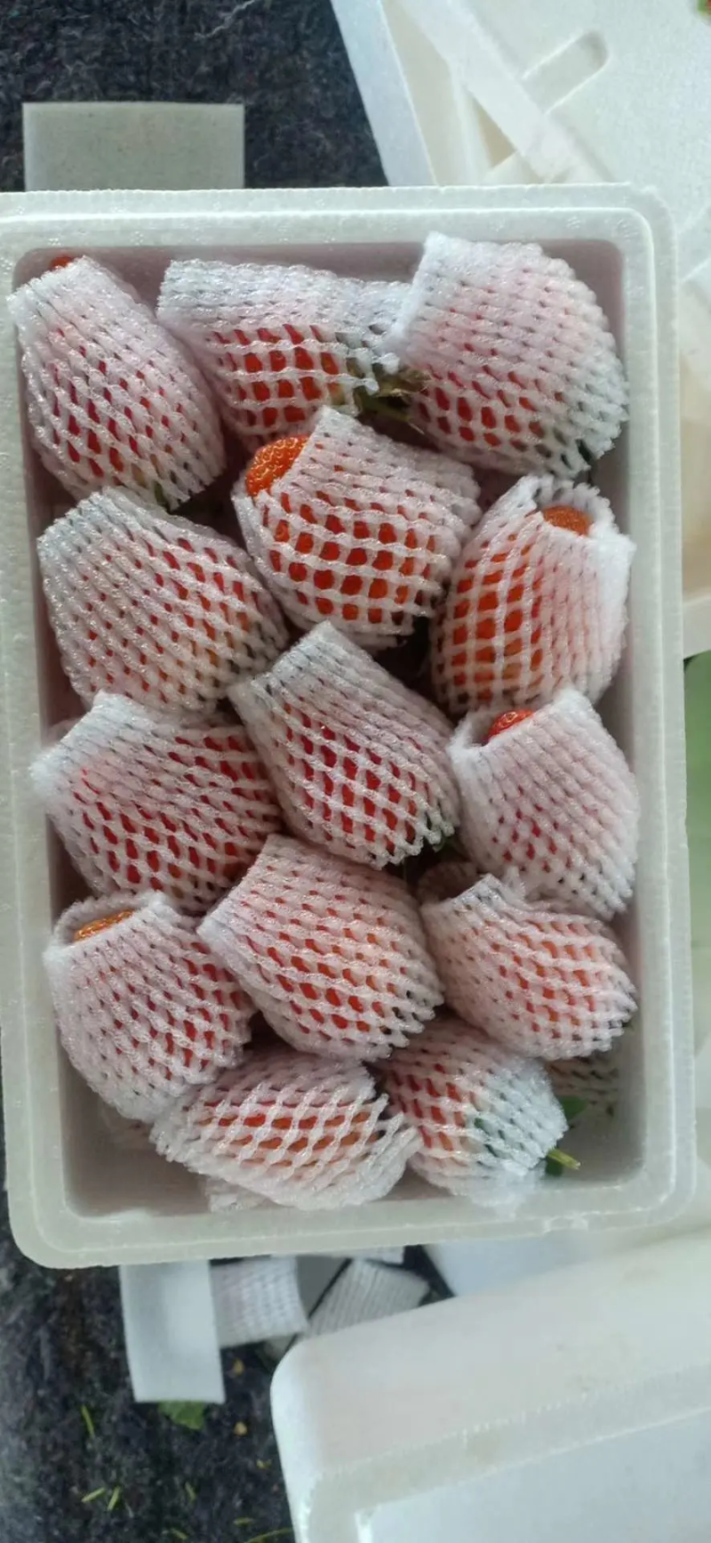 妙香草莓江苏草莓产地直发商场社区品质欢迎看货
