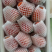奶油草莓江苏草莓品质保证支持视频看货货量充足