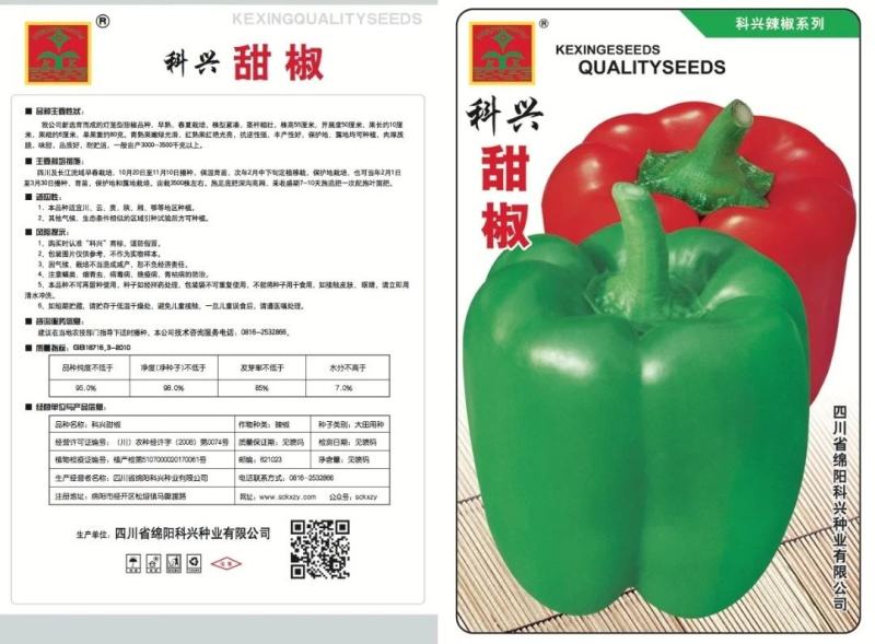 【厂家直销】科兴甜椒种子灯笼型甜椒种籽肉厚质脆品质佳耐运