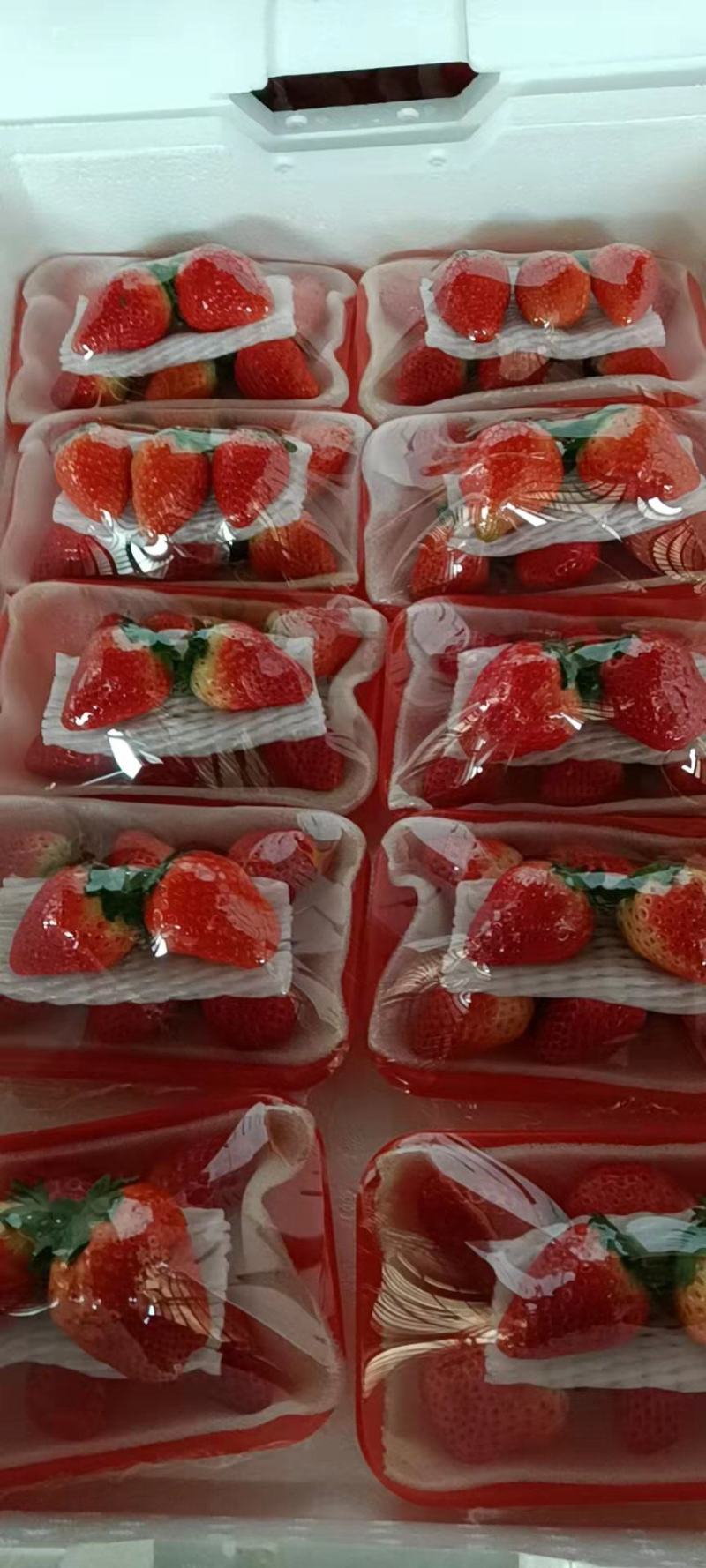 奶油草莓江苏草莓商场社区团购一件代发货量充足