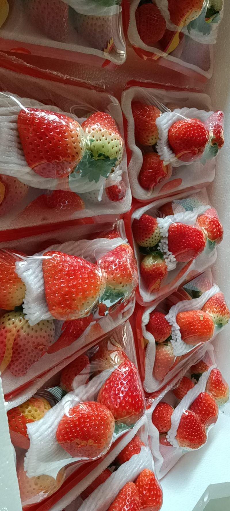 奶油草莓江苏草莓商场社区团购一件代发货量充足