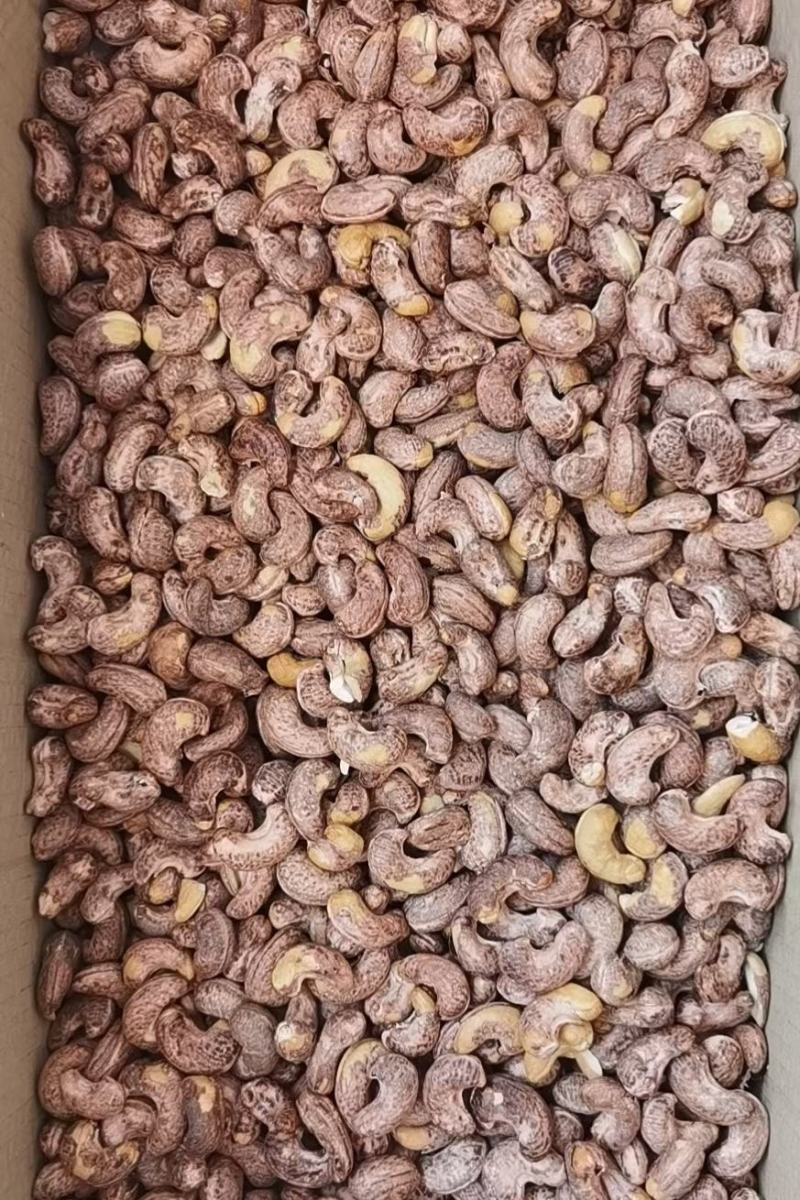 越南大颗粒腰果250g一罐罐装腰果坚果批发代发零食