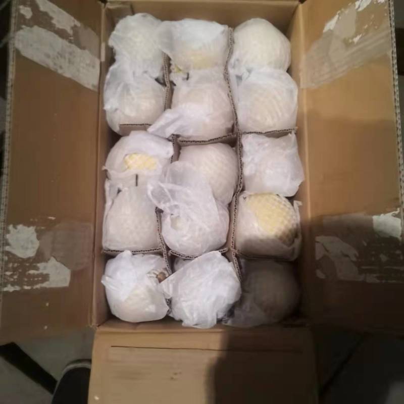 雪梨框装雪花梨七两以上产地直供一手货源量大从优