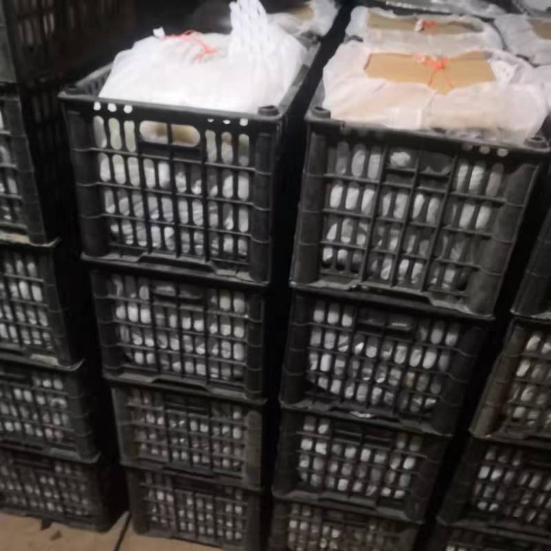 雪梨框装雪花梨七两以上产地直供一手货源量大从优