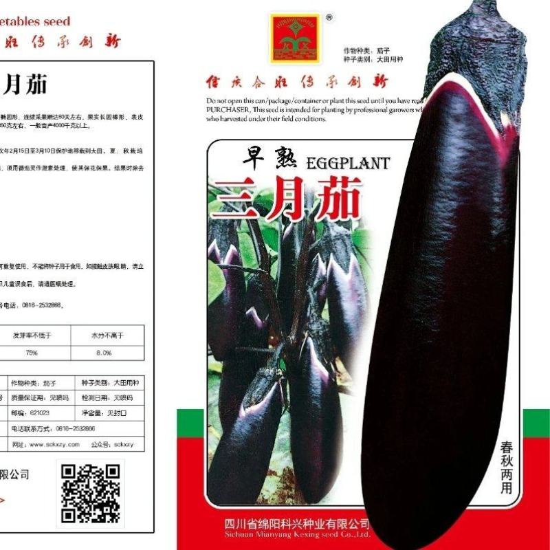 【厂家直销】三月茄紫粗茄种子早熟商品性佳春秋两用茄子种子