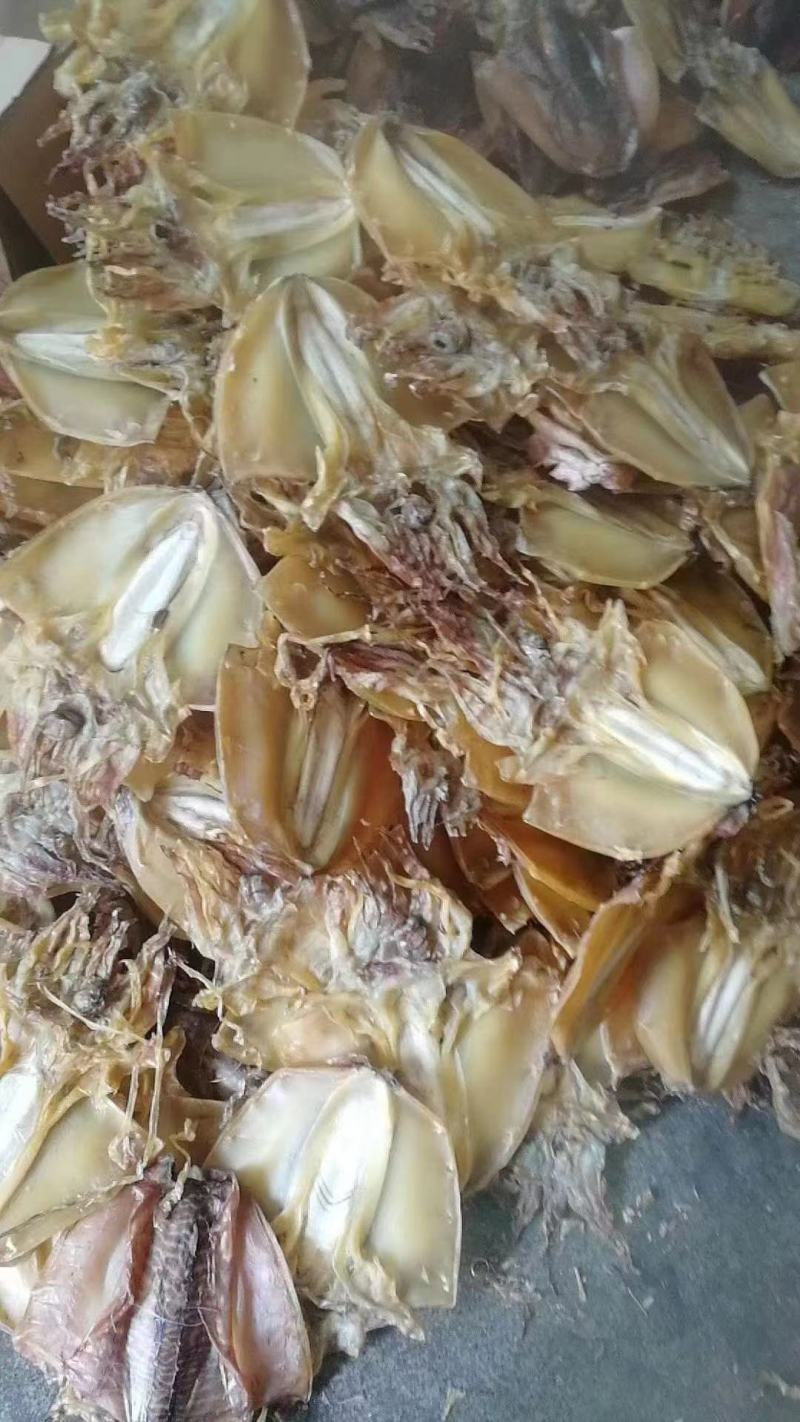 【新货】自晒大鱿鱼干500g/2条左右干鱿鱼板海鲜干货。