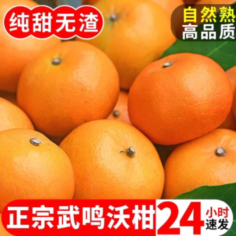 沃柑一件代发整车批发落地配快手抖音欢迎对接各个渠道