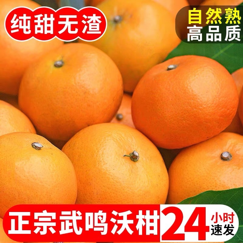 沃柑一件代发整车批发落地配快手抖音欢迎对接各个渠道