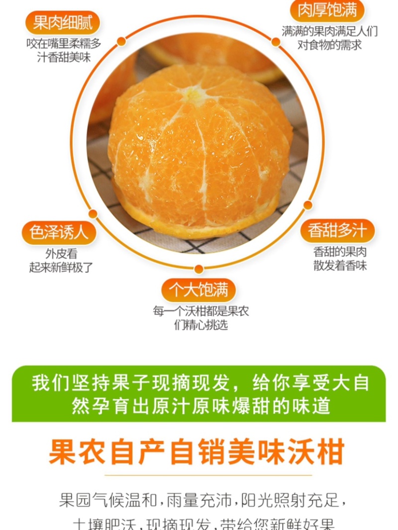 沃柑一件代发整车批发落地配快手抖音欢迎对接各个渠道