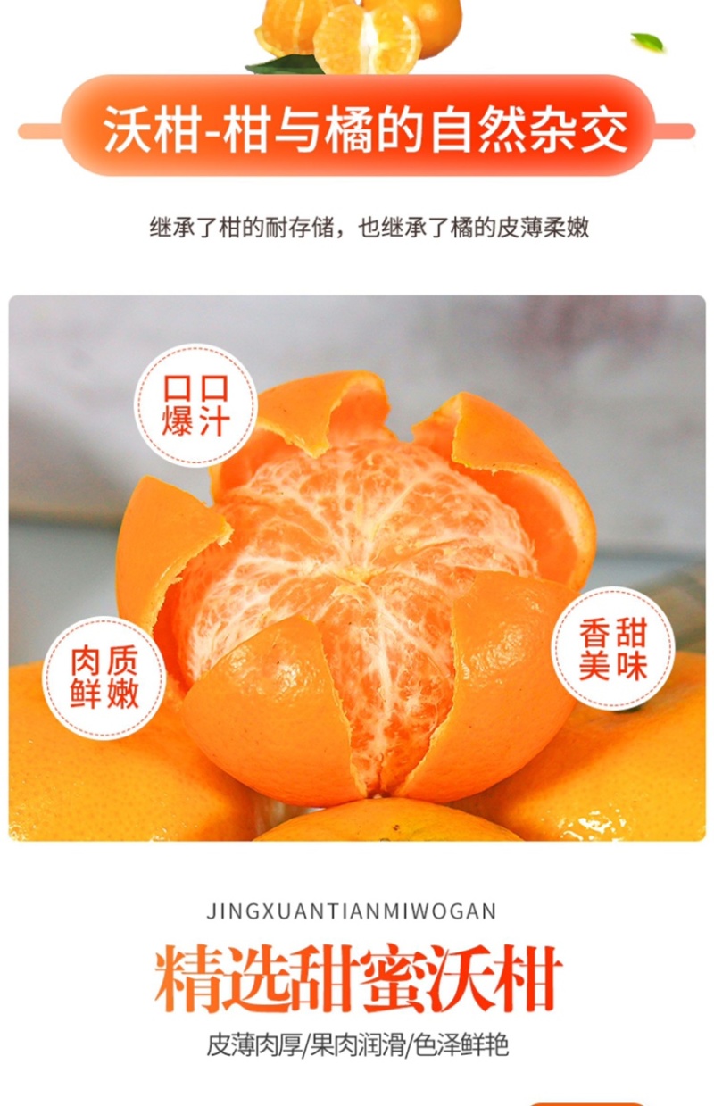 沃柑一件代发整车批发落地配快手抖音欢迎对接各个渠道