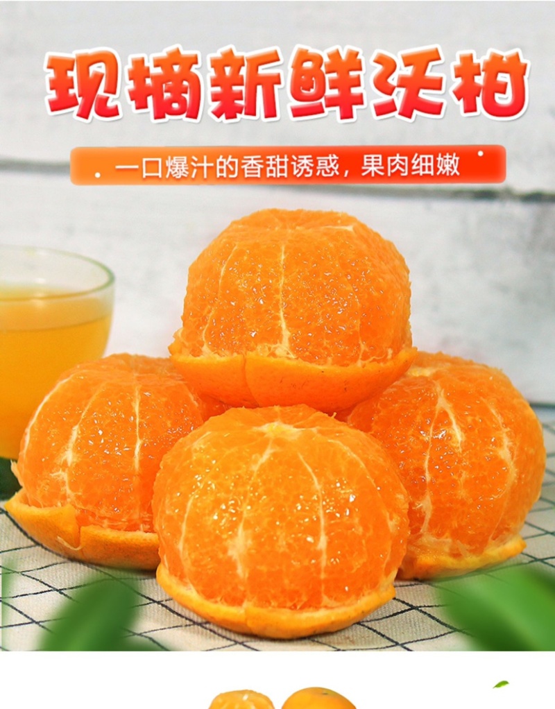 沃柑一件代发整车批发落地配快手抖音欢迎对接各个渠道