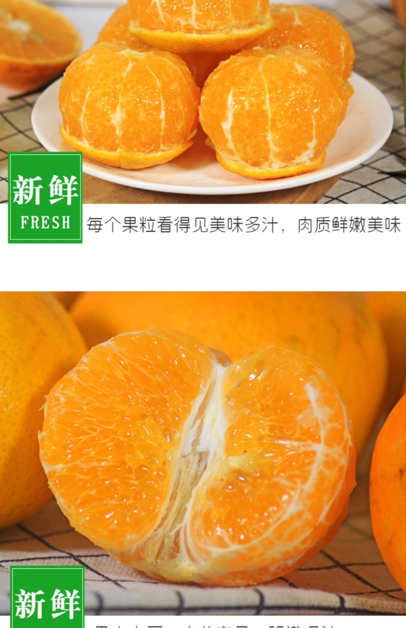 沃柑一件代发整车批发落地配快手抖音欢迎对接各个渠道