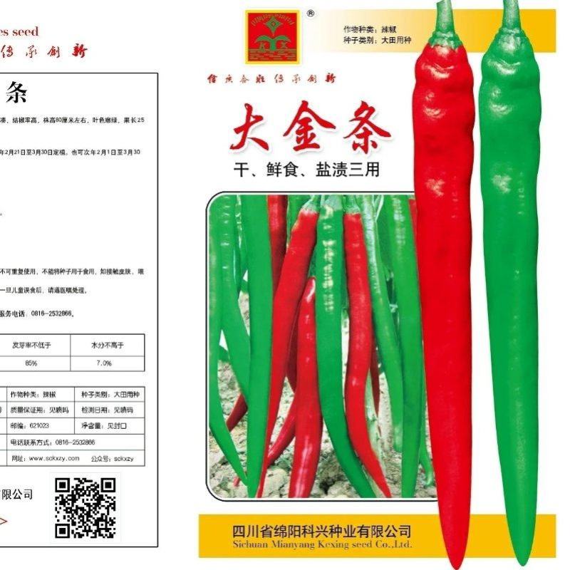 【货源稳定】长线椒种子香辣脆长线辣椒种子干鲜盐渍三用嫩绿