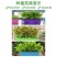 白杆芹菜空心白芹菜种子脆嫩白芹菜种子芹菜种子