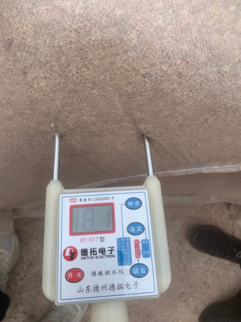 玉米芯批发全国供应