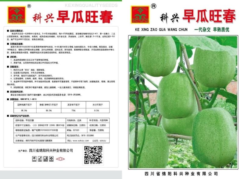 【热销推荐】五叶米小冬瓜种子春秋速生一串铃节瓜种肉厚腔小