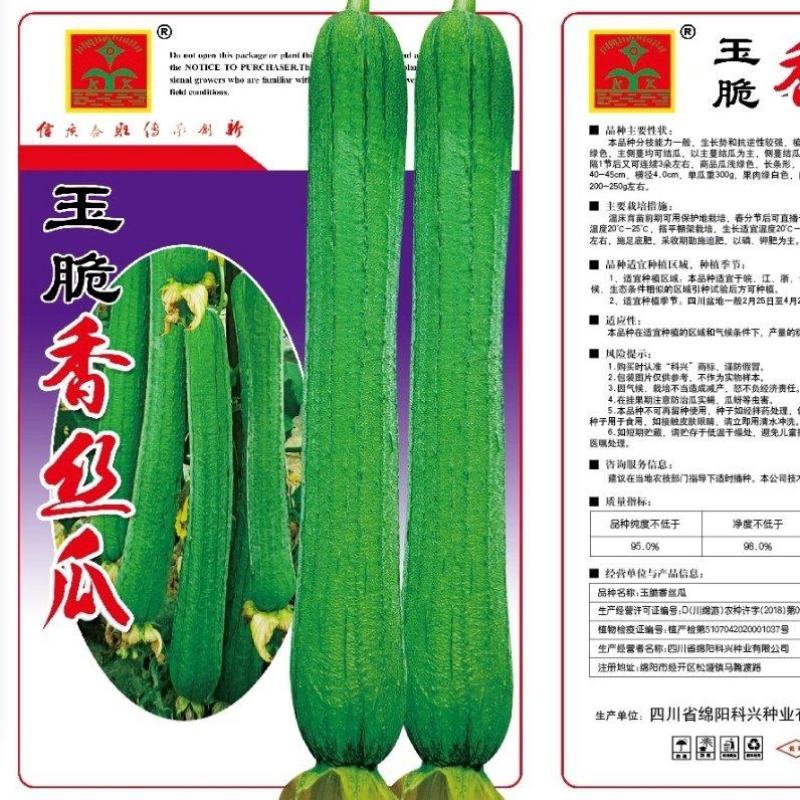 【新品热销】香丝瓜种子肉厚节节有瓜长丝瓜籽肉质嫩甜丝瓜种