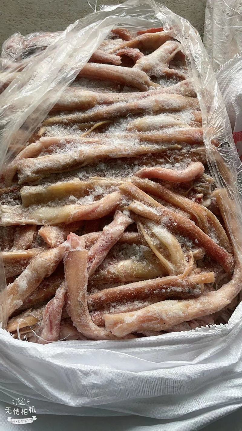 驴蹄筋马蹄筋精品驴蹄筋纯主筋颜色鲜质量好出肉率高