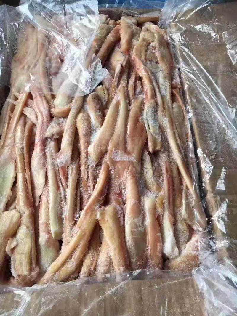 驴蹄筋马蹄筋精品驴蹄筋纯主筋颜色鲜质量好出肉率高