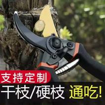 日本加厚SK5钢树枝剪刀强力剪粗枝园林剪外贸修剪果树修枝