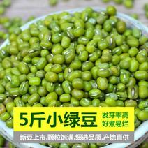【产地直】绿豆今年新货农家自种小豆毛绿豆明绿豆包邮