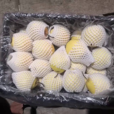 雪梨框装雪花梨七两以上产地直供一手货源量大从优