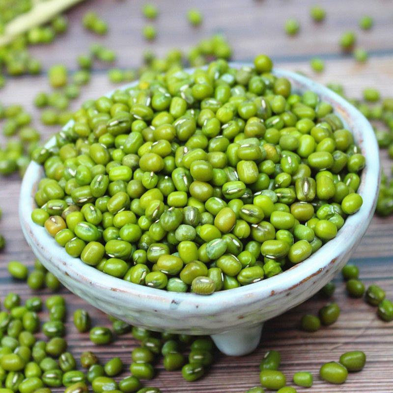 【产地直】绿豆今年新货农家自种小豆毛绿豆明绿豆包邮