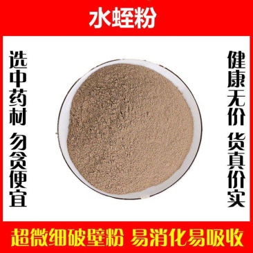野生水蛭粉破壁超细粉高品质清水蚂蟥粉中药材正品药用