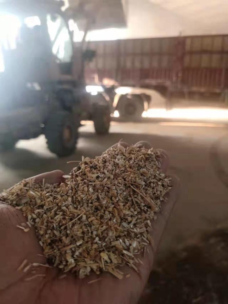 碎小麦，厂家一手货源，干净整齐，量大从优