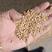 厂家一手货源，优质大颗粒碎麦，无霉变，无土，无沙，