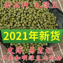 【产地直】新毛绿豆5斤大粒老品种农家绿豆发豆超值包邮