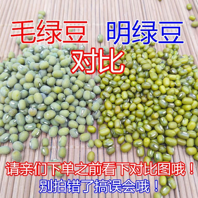 【产地直】新毛绿豆5斤大粒老品种农家绿豆发豆超值包邮