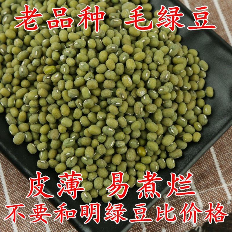 【产地直】新毛绿豆5斤大粒老品种农家绿豆发豆超值包邮